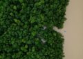 Brasil destinará 617,5 millones de dólares a inversión ecológica en la Amazonía