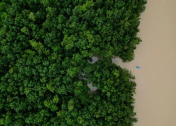 Brasil destinará 617,5 millones de dólares a inversión ecológica en la Amazonía