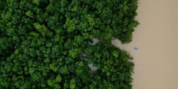 Brasil destinará 617,5 millones de dólares a inversión ecológica en la Amazonía