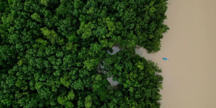 Brasil destinará 617,5 millones de dólares a inversión ecológica en la Amazonía