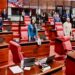 Senadores aprueban ley crea la Alerta Nacional para la búsqueda de personas desaparecidas en RD