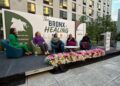 The Bronx is Healing