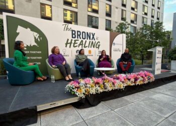 The Bronx is Healing
