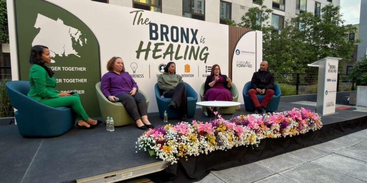 The Bronx is Healing