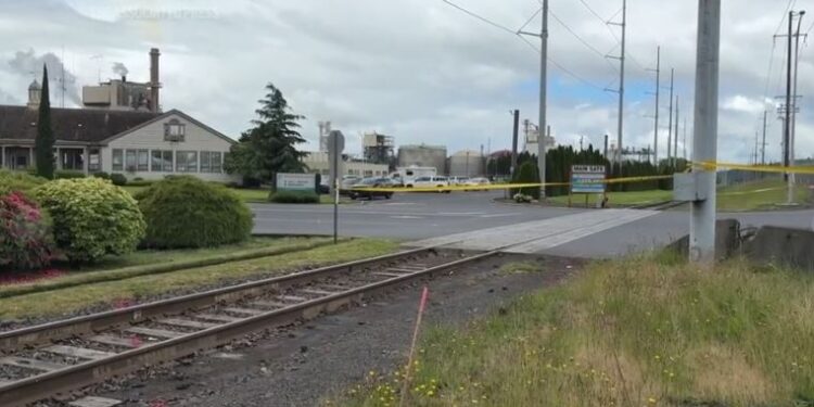 Washington: Muertos y heridos tras implosión en planta de papel