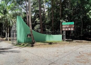 PLD conmemora este sábado el Día Mundial del Medio Ambiente