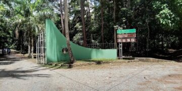 PLD conmemora este sábado el Día Mundial del Medio Ambiente