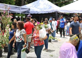 Jarabacoa celebra los 15 años del Festival de las Flores con una edición histórica
