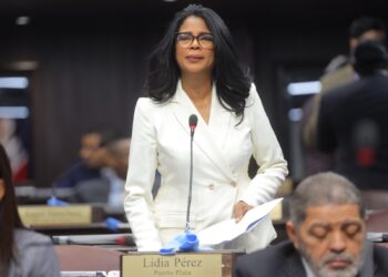Diputada busca eliminar prisión por opinar y prohibir censura