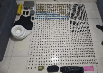 Ocupan más de 10 mil gramos de cocaína y cientos de porciones de drogas en SDE