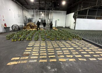 DNCD interviene carga de piñas con 121 láminas de presunta cocaína; arrestan un hombre