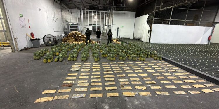 DNCD interviene carga de piñas con 121 láminas de presunta cocaína; arrestan un hombre