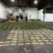DNCD interviene carga de piñas con 121 láminas de presunta cocaína; arrestan un hombre