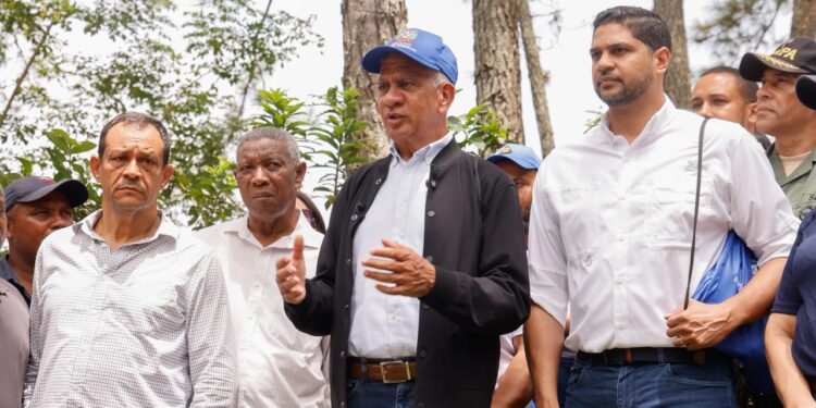 Senado realiza jornada de reforestación en la cuenca alta del río Nizao