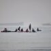 Varias personas se congregan en tablas de remo en aguas poco profundas al tiempo que buques de carga y de servicio permanecen anclados en el estrecho de Ormuz