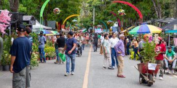 Festival de las Flores dinamiza economía en Jarabacoa