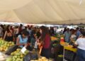 Expo Mango 2026 consolida su impacto en negocios, ventas, cultura y proyección internacional