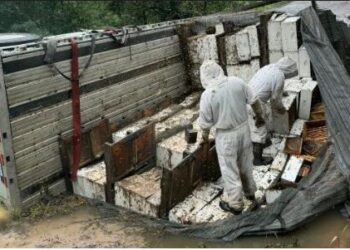 Millones de abejas melíferas escapan en Texas tras choque de camión que transportaba colmenas