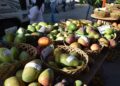 Apertura de Expo Mango 2026 proyecta exportaciones históricas