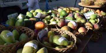 Apertura de Expo Mango 2026 proyecta exportaciones históricas