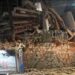 Dos fuertes terremotos consecutivos sacuden Venezuela y derrumban varios edificios en Caracas