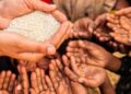 Ciudadanos no creen informe del hambre de la FAO