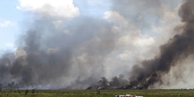 Los incendios arrasan más de 700.000 hectáreas en Estados Unidos