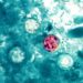 Parásito Ciclosporiasis: Aumentan casos de diarrea grave en NYC y otros estados; dominicanos en alerta