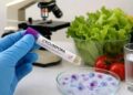 Enfermedad transmitida por alimentos se propaga en EE. UU.; dominicanos en alerta