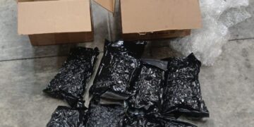 Incautan ocho paquetes y latas llenas de marihuana en el AILA