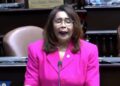 Diputada Nurka Nieves solicita a Medio Ambiente y Turismo el saneamiento de varias cañadas de Azua