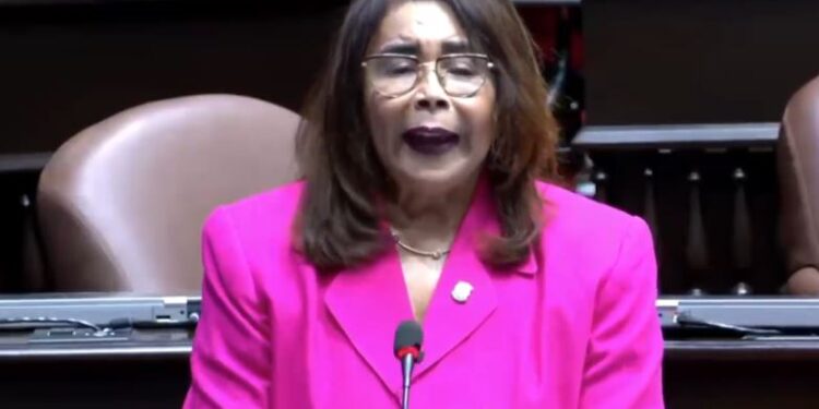 Diputada Nurka Nieves solicita a Medio Ambiente y Turismo el saneamiento de varias cañadas de Azua