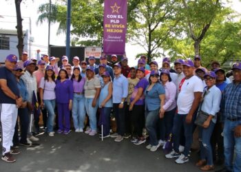 Miles de hogares son visitados este sábado por el PLD