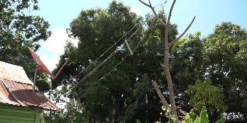 Edesur invertirá RD$421.4 millones en programa de modernización de redes eléctricas en Azua