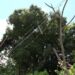 Edesur invertirá RD$421.4 millones en programa de modernización de redes eléctricas en Azua