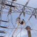 ETED fortalece infraestructura mediante trabajos estratégicos en líneas de transmisión