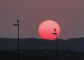 Cuarta ola de calor arranca con avisos en toda España, salvo en Asturias, Murcia y Baleares