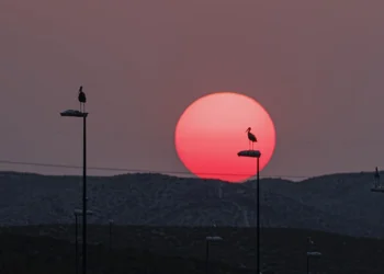 Cuarta ola de calor arranca con avisos en toda España, salvo en Asturias, Murcia y Baleares