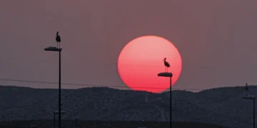 Cuarta ola de calor arranca con avisos en toda España, salvo en Asturias, Murcia y Baleares