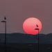 Cuarta ola de calor arranca con avisos en toda España, salvo en Asturias, Murcia y Baleares