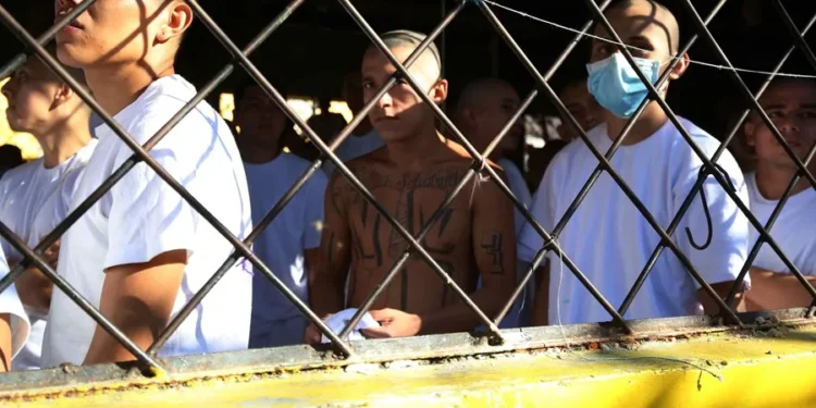 Amnistía Internacional denuncia cientos de muertes en cárceles en El Salvador