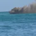 Explosión en lancha que regresaba de Isla Saona deja al menos 23 heridos; investigan causas del accidente