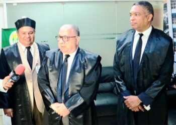 PLD defiende derecho de los partidos a consultar a la ciudadanía