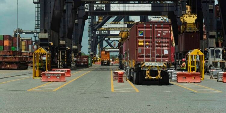 Adoexpo defiende operaciones de exportadores dominicanos tras señalamiento de EE. UU.