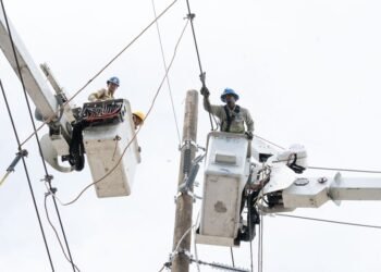 ETED fortalece red de transmisión eléctrica con jornadas de mantenimiento y reemplazo de estructuras