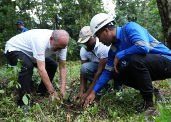 Energía y Minas realiza jornada de reforestación y limpieza en cuencas de ríos de Cotuí