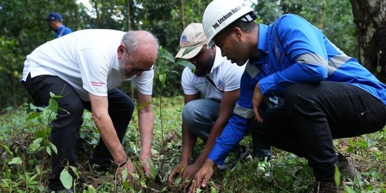 Energía y Minas realiza jornada de reforestación y limpieza en cuencas de ríos de Cotuí