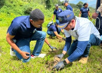 MIDE siembra esperanza y protege el agua mediante Jornada de Reforestación en Manabao