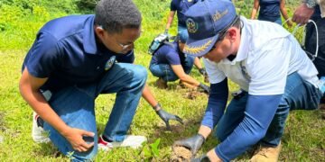 MIDE siembra esperanza y protege el agua mediante Jornada de Reforestación en Manabao
