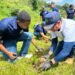 MIDE siembra esperanza y protege el agua mediante Jornada de Reforestación en Manabao